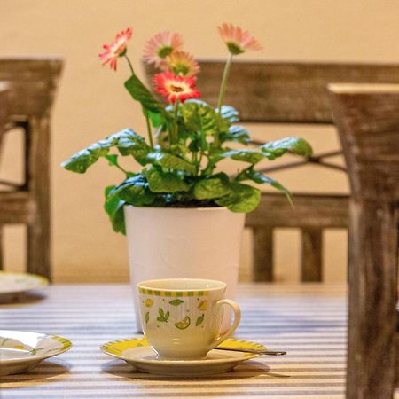 빈겐암라인 An Den Weinbergen 아파트 외부 사진